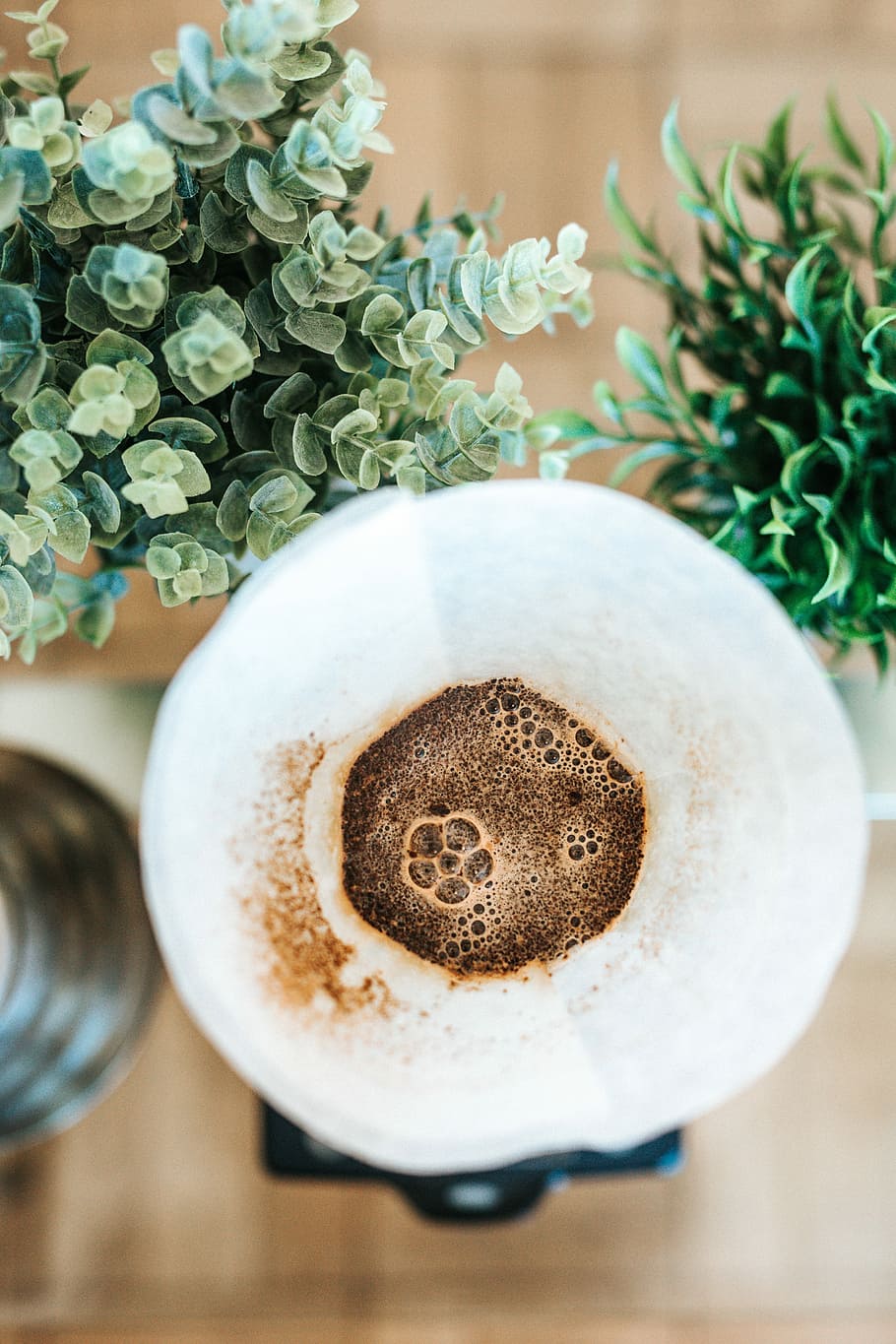 flat lay photography of coffee beside plants, high angle photography of white cup beside green leaves HD wallpaper