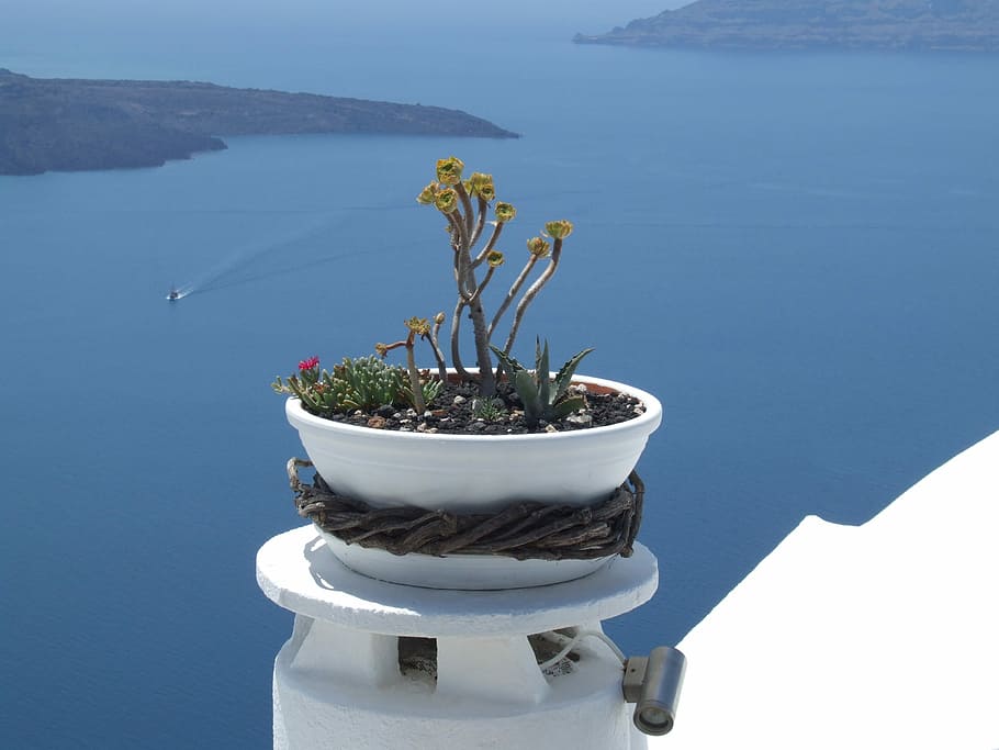 Santorini, Greece, Vase, plant, nature, no people, water, sky HD wallpaper