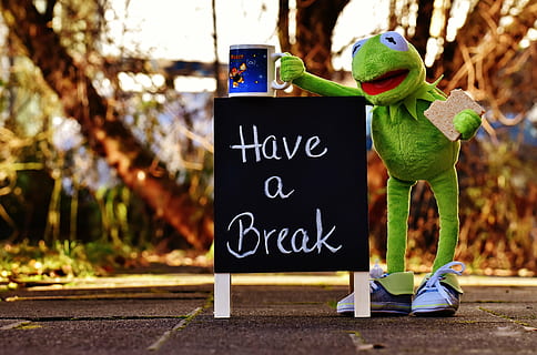 Hd Wallpaper Kermit The Frog Standing Beside Signboard Cup Drink Coffee Wallpaper Flare