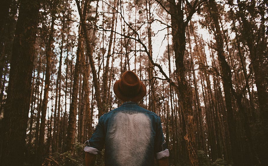 people, man, denim, hat, woods, forest, trees, leaves, nature HD wallpaper