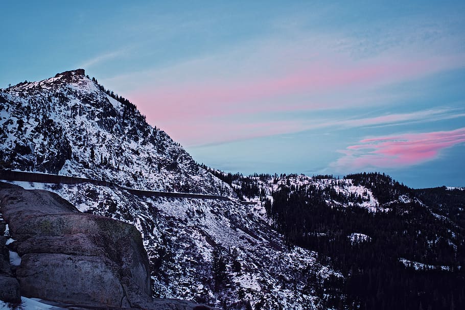 snowy mountain covered with pine trees, untitled, rock, cliff HD wallpaper