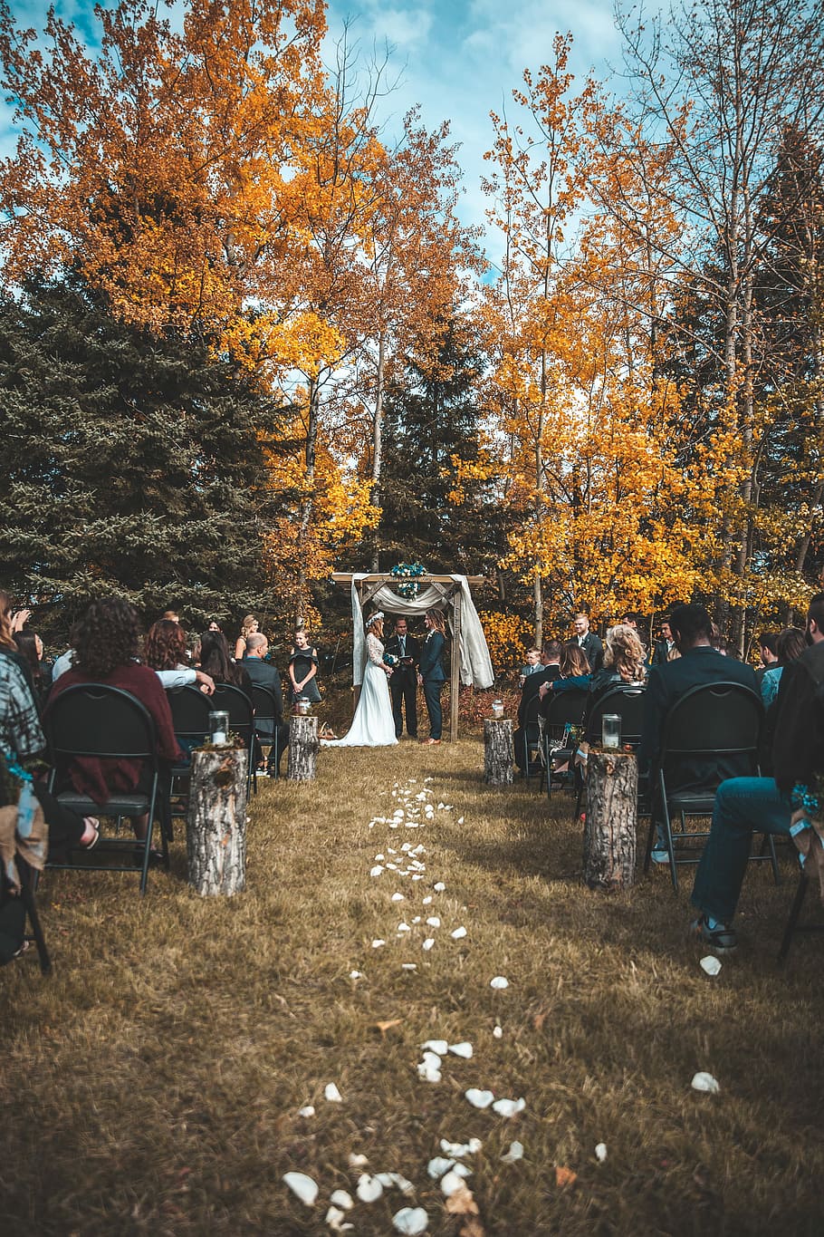 wedding ceremony beside fall trees during daytime, man and woman standing near arbor with priest HD wallpaper