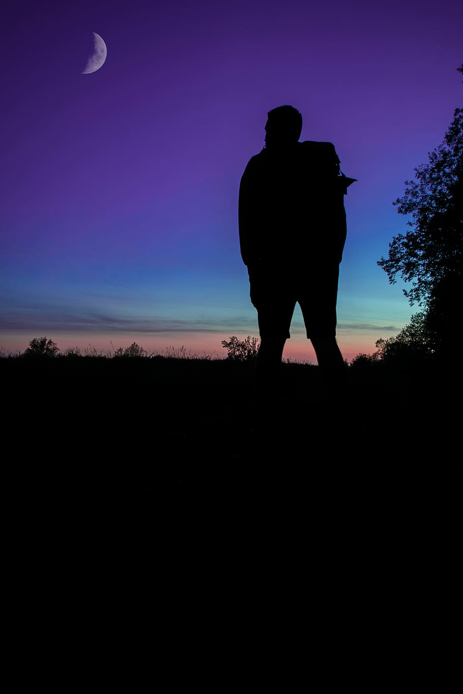 silhouette of person on grass, untitled, moon, sky, couple, sillouette HD wallpaper