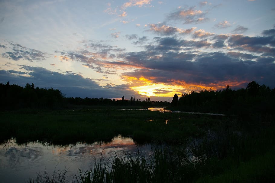 wetlands, sunset, water, trees, clouds, sky, reflection, nature HD wallpaper