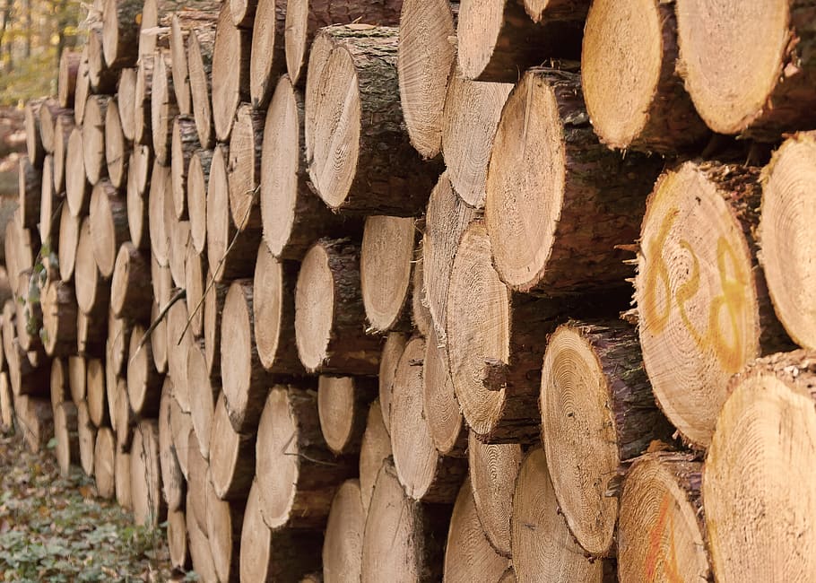 closeup photo of pile of wood logs, wood trunks, forest, strains, HD wallpaper