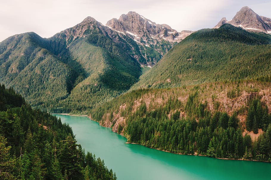 green grass mountains, aerial photo of mountain beside body of water HD wallpaper