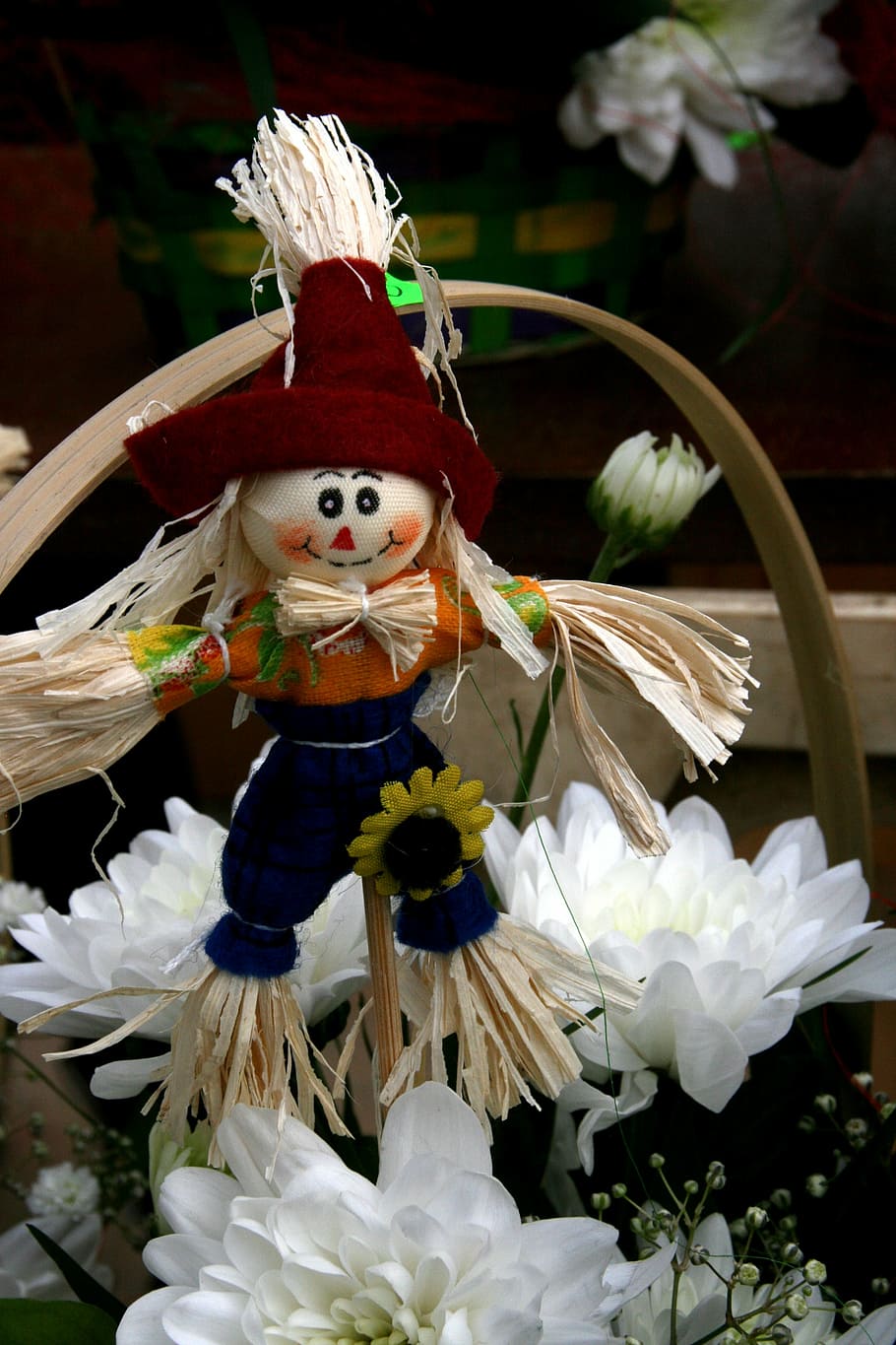 scarecrow, flower, white, spring, art and craft, celebration HD wallpaper