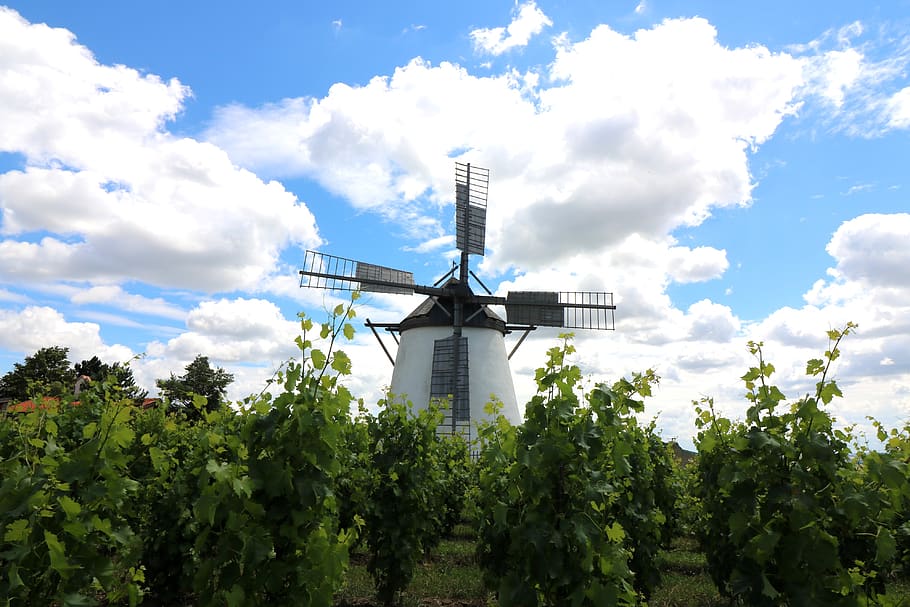 windmill, sky, clouds, landscape, wing, nature, flour mill HD wallpaper