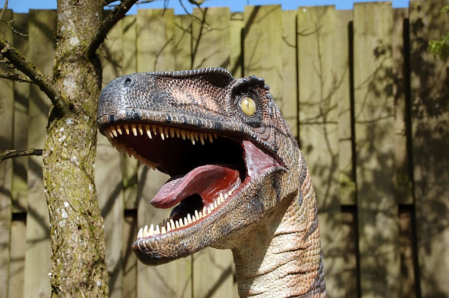 brown and gray dinosaur life size figure during daytime, teeth HD wallpaper