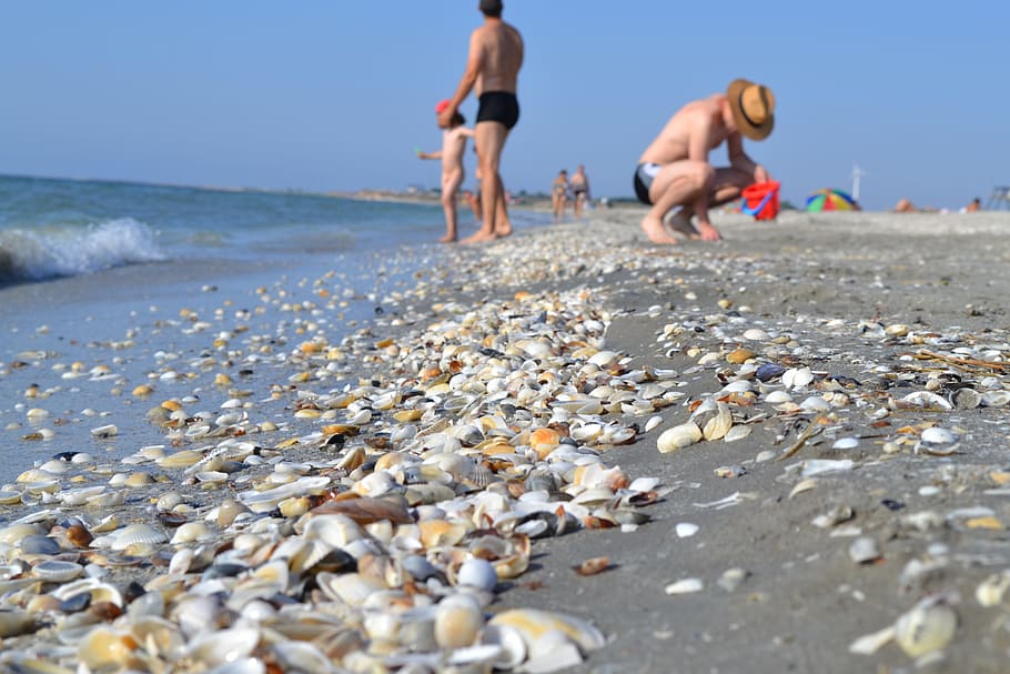 summer, great, sand, beach, water, sea, land, nature, adult HD wallpaper