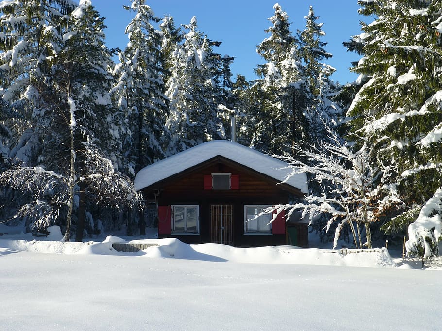 hut, snow, winter, tree, plant, cold temperature, nature, architecture HD wallpaper
