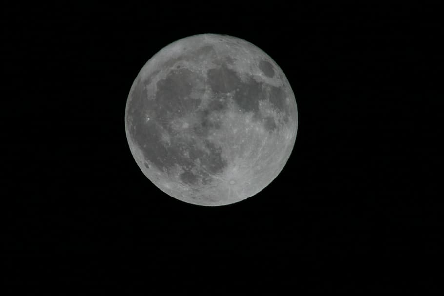 photo of full moon, moonlight, night, round, darkness, space HD wallpaper