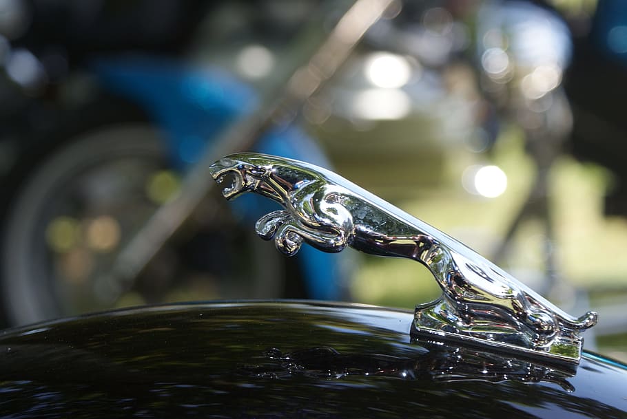 automobile, acronym, tawny, focus on foreground, close-up, water HD wallpaper