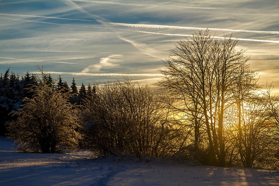 Winter, Snow, Wintry, hochrhoen, wasserkuppe, rhön winter HD wallpaper