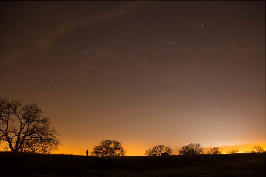 trees, silhouette, night, sky, stars, evening, star - space HD wallpaper