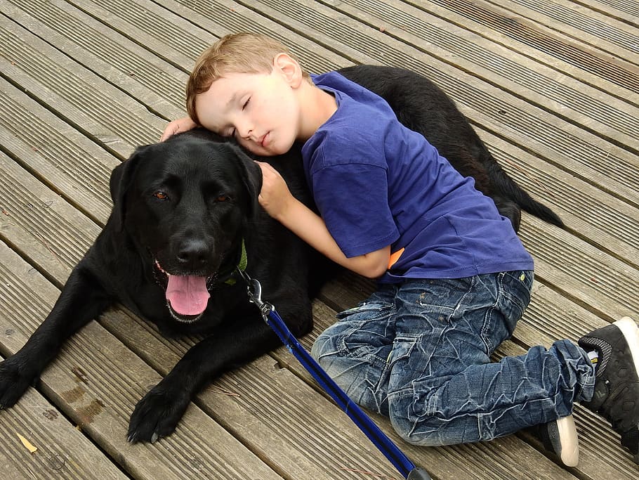 love, affection, close, snuggle, dog, hundeliebe, child, boy HD wallpaper