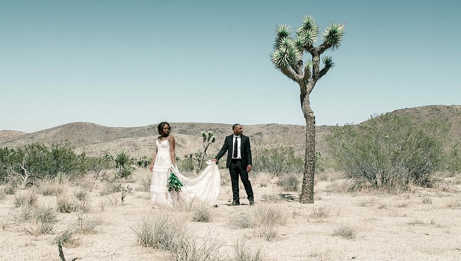 man holding his wife's white gown, two person standing near tree under clear sky