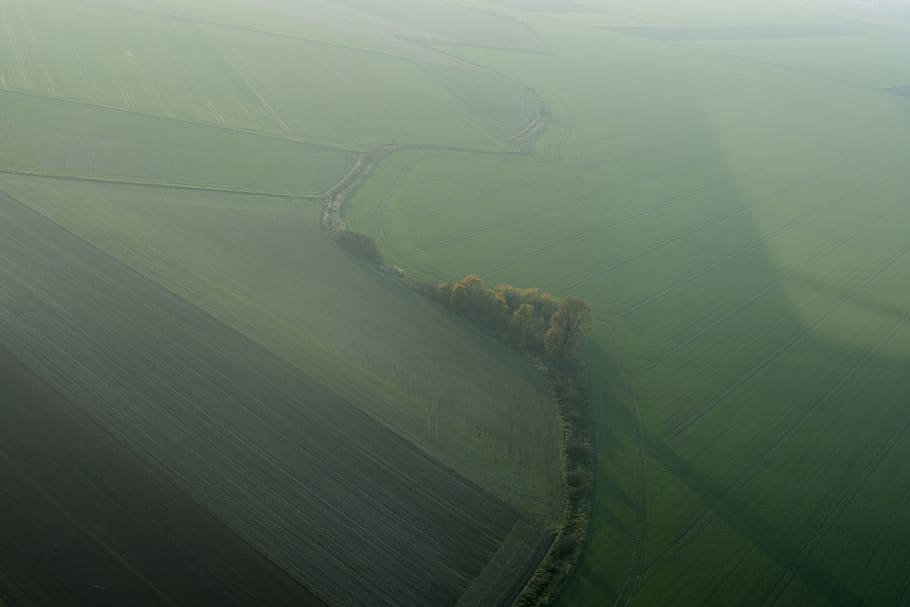 landscape, green, grass, fields, trees, nature, environment HD wallpaper