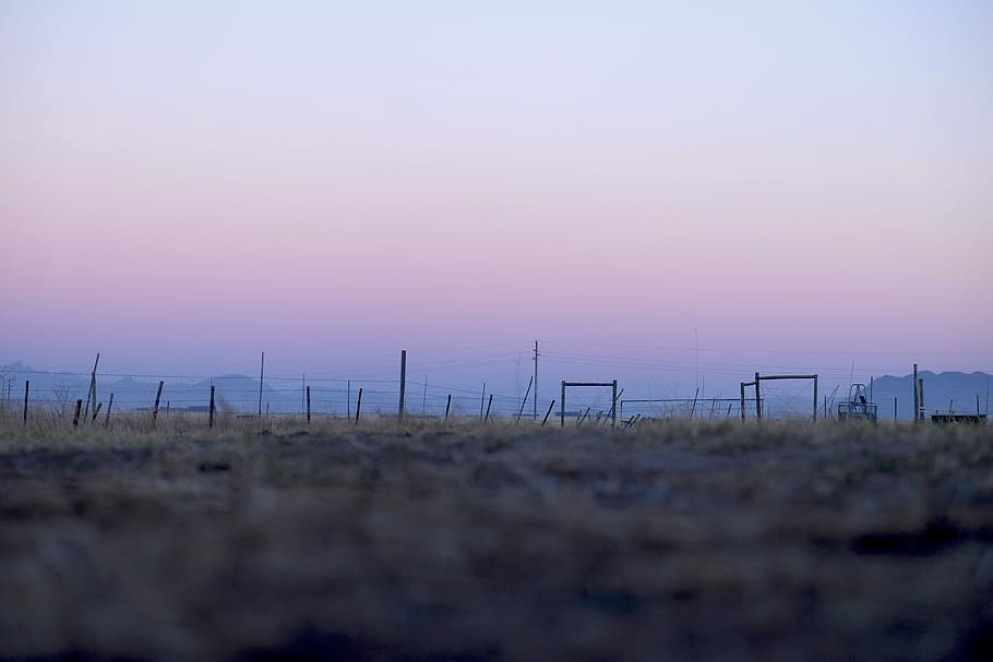 grass field, capetown, stick, sky, gradient, environment, beauty in nature HD wallpaper