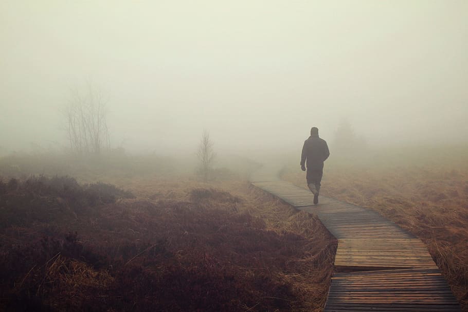 man walking on boardwalk with fogs, moor, marsh, nebellandschaft