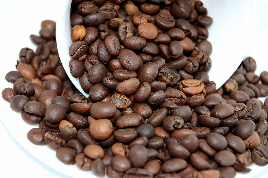 caffeine, close-up, coffee, coffee beans, royalty  images, food and drink HD wallpaper