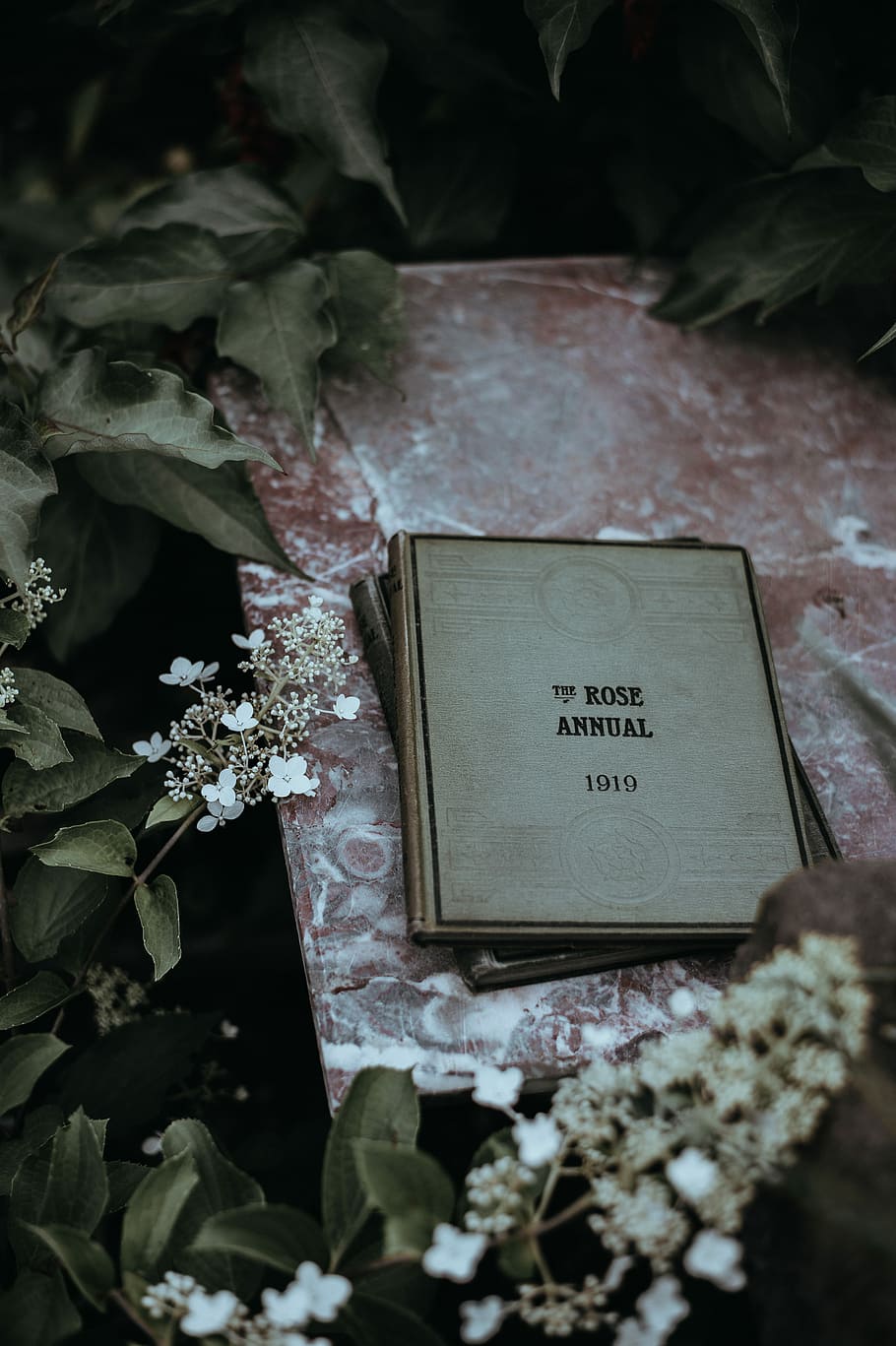 shallow focus photography of gray book, plants, mood, folk HD wallpaper
