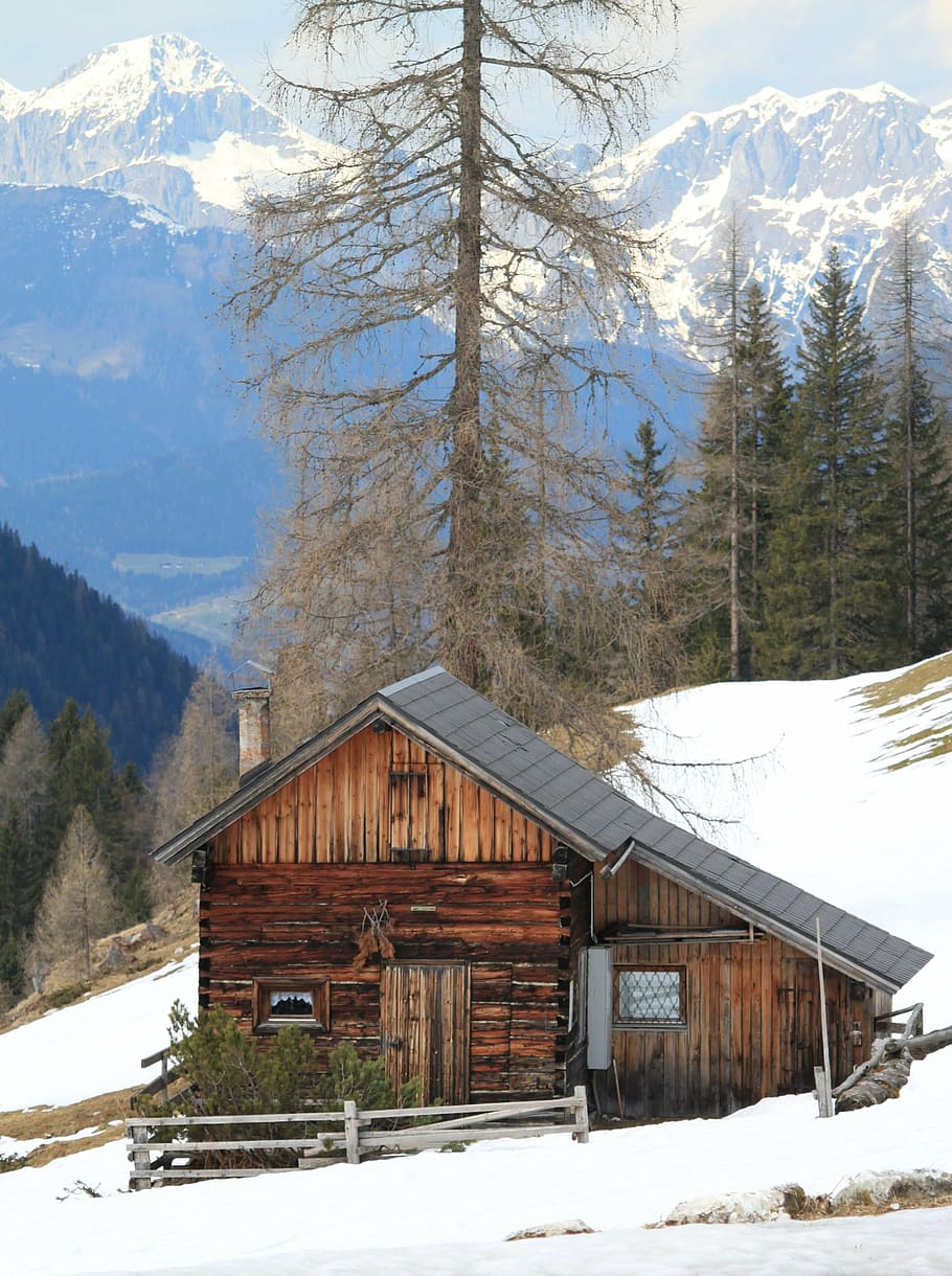 brown house near the tree with snow on the ground, alpine, mountains HD wallpaper