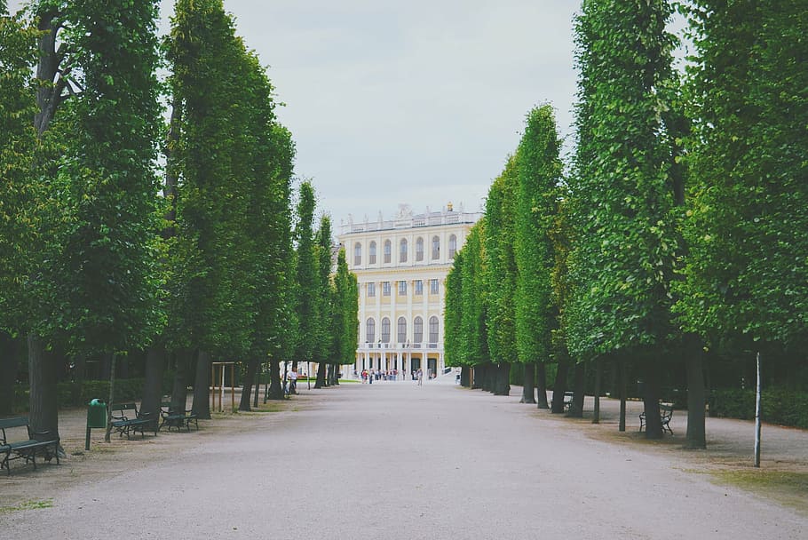 path, pavement, benches, trees, shrubs, building, architecture HD wallpaper