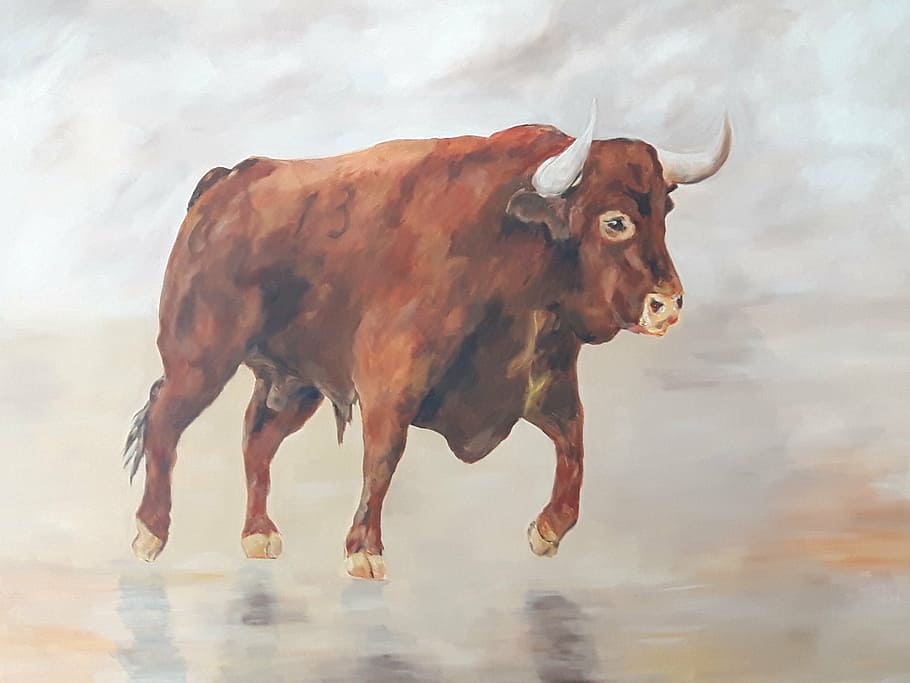 toro, red, canvas, technical, mixed, 97cm, 130cm, cattle, cow HD wallpaper