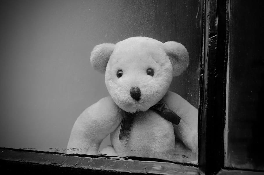 bear plush toy, window, glass, dirt, dust, teddy, blackboard HD wallpaper