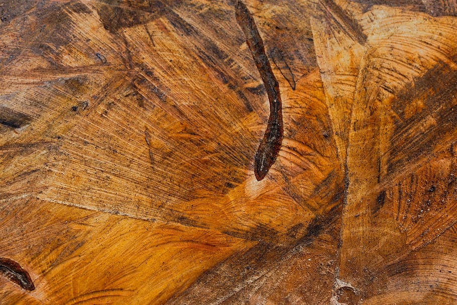 nature, background, pattern, close, texture, tree, color, old HD wallpaper