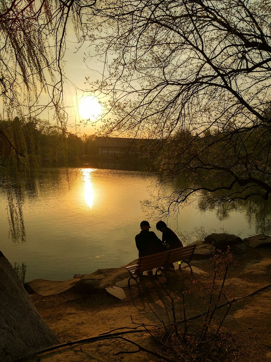 春天的散步, two people sitting on bench facing body of water HD wallpaper