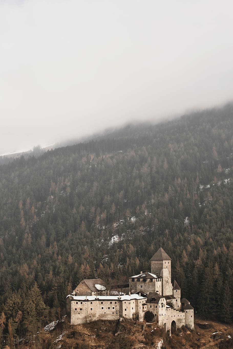 landscape photography of castle on top of hill, aerial photograph of castle surrounded by pine trees HD wallpaper