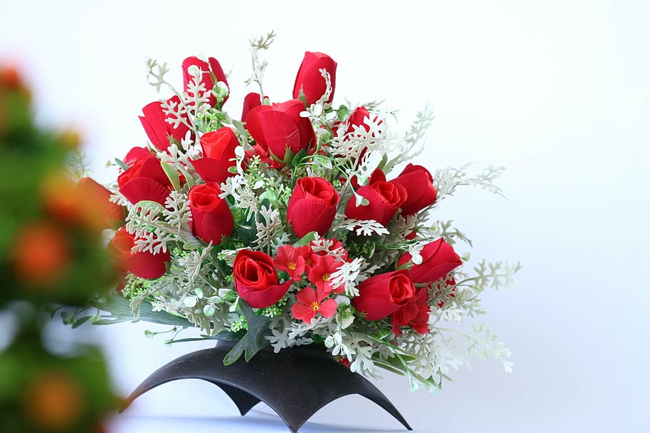 nature, flower, plant, spring, floral, summer, blossom, natural HD wallpaper