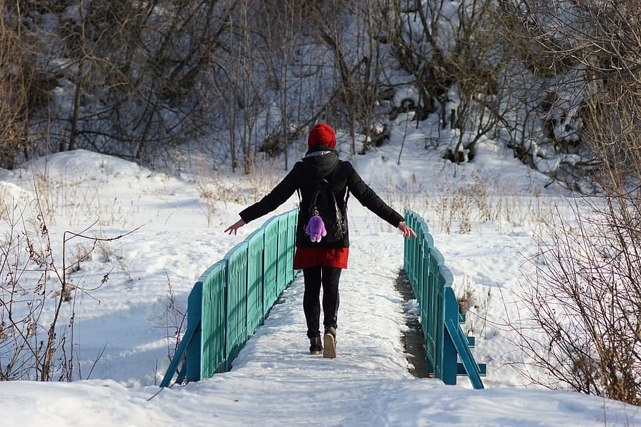 stroll, march, nature, winter, snow, cold temperature, adventure HD wallpaper
