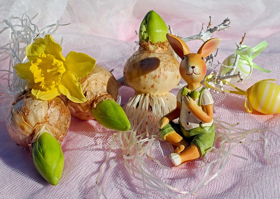 rabbit figurine near fruits, easter bunny, figure, hare, sitting HD wallpaper