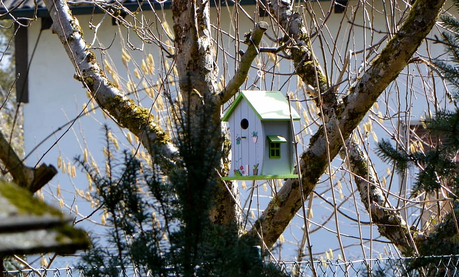 Aviary, Nesting, Box, Tree, Garden, nesting box, colored, house HD wallpaper