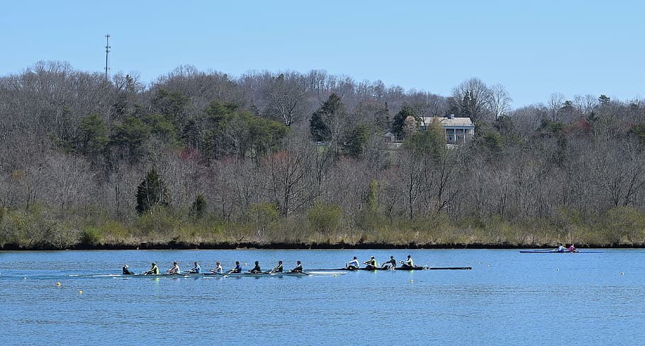 mens scull rowing, sport, clinch river, melton lake, tennessee, HD wallpaper