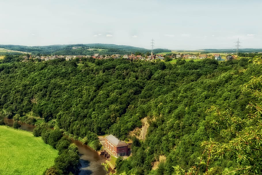 germany, river, forest, trees, woods, nature, outside, country HD wallpaper