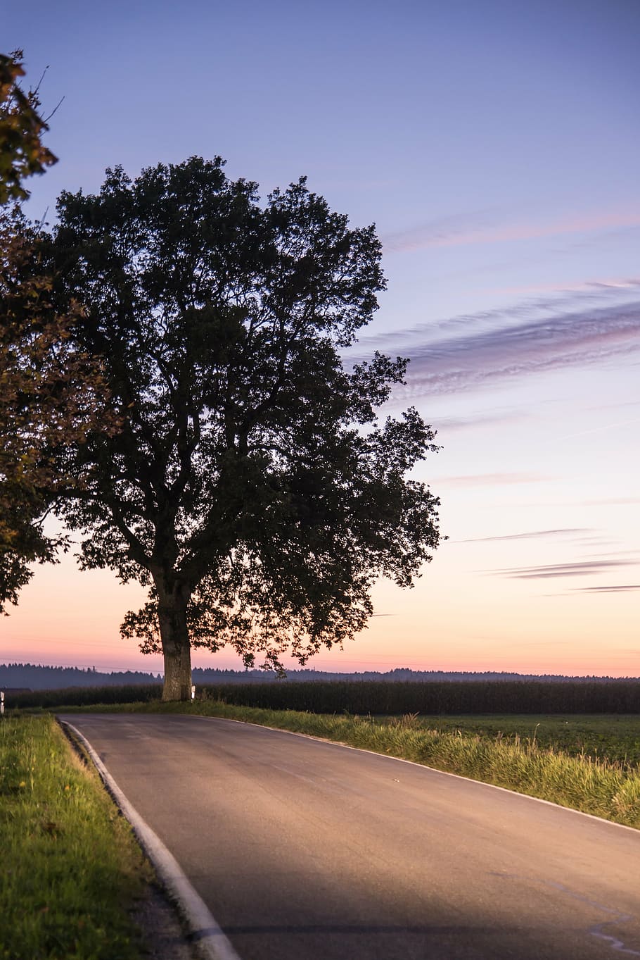 tree, road, sunset, nature, lichtspiel, colorful, afterglow HD wallpaper