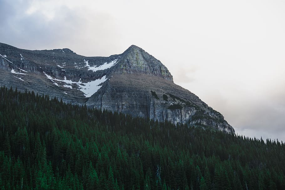 Clear mountain. Горный хребет Доврефьелль. Вершины деревьев. Волки в горах. Норвегия гора волк.