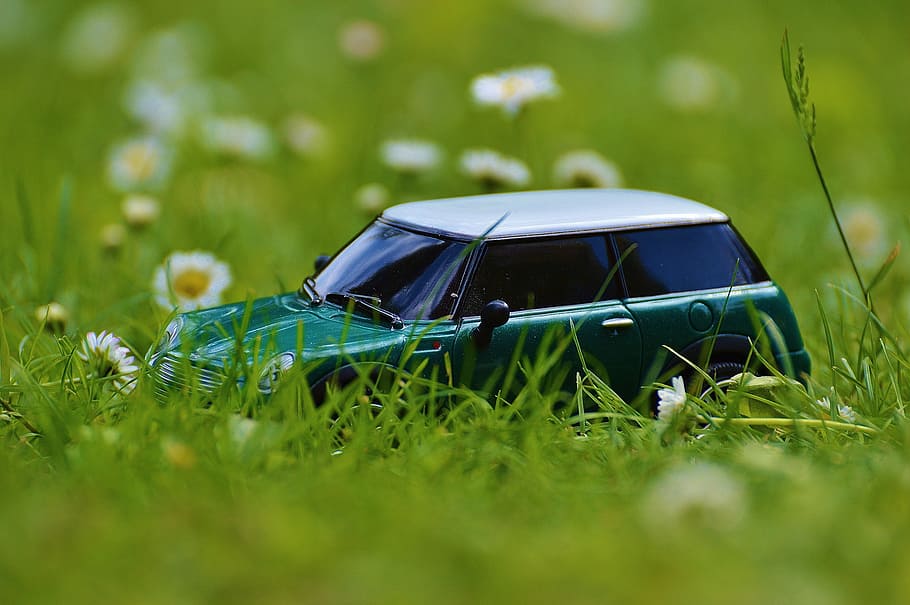 mini cooper, auto, model, vehicle, green, grass, plant, green color HD wallpaper