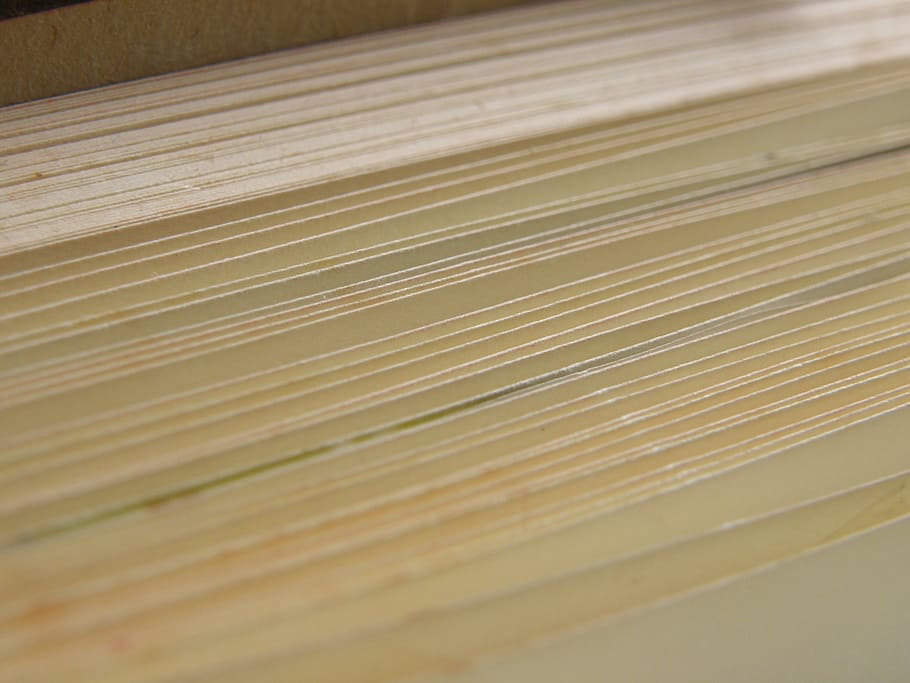 Book, Old, Foliage, page, yellowed, nature, close-up, no people HD wallpaper