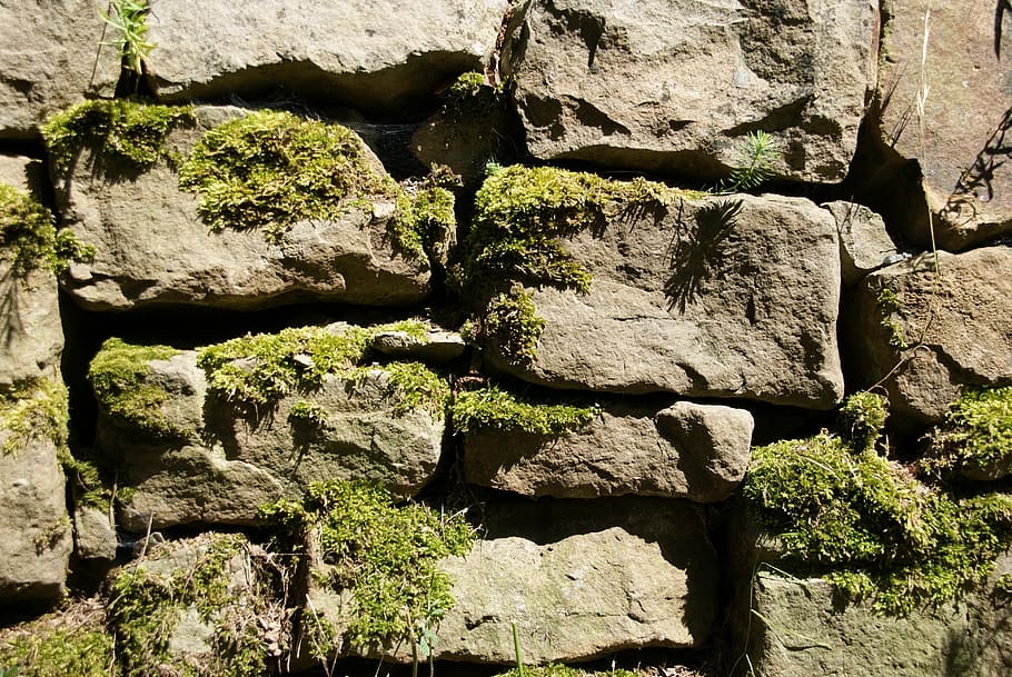 stones, macro, background, cairn, pebble, nature, plant texture, HD wallpaper