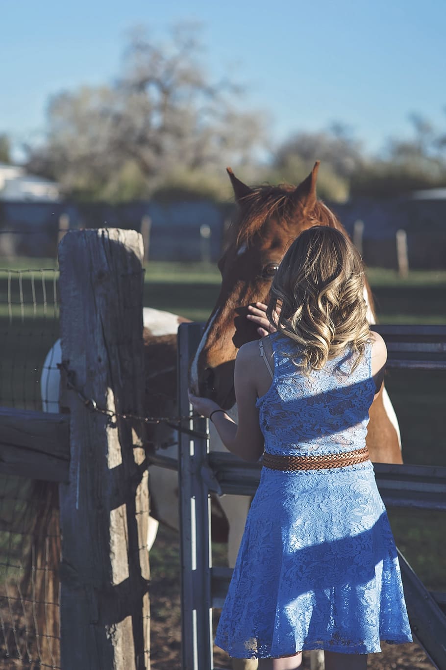Girl, Horse, Countryside, Rural, horseback, stallion, outdoor, HD wallpaper