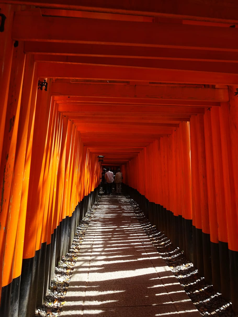 fushimi inari-taisha shrine, senbon-torii, kyoto, tourism, the way forward, HD wallpaper
