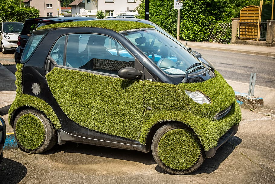 smart, grass, auto, rush, lawn paint, surface, car, land Vehicle HD wallpaper