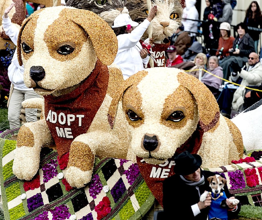 parade, float, dogs, floral, rose parade, street, colorful HD wallpaper