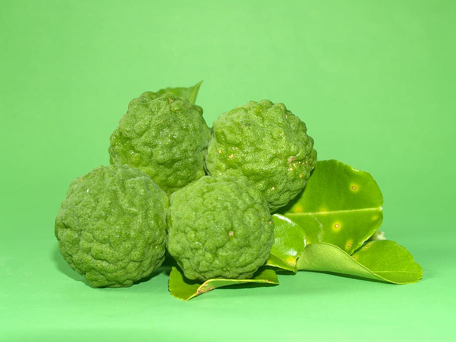 bergamot, fruit, leaf, isolated, thailand, rough, lemon, natural HD wallpaper