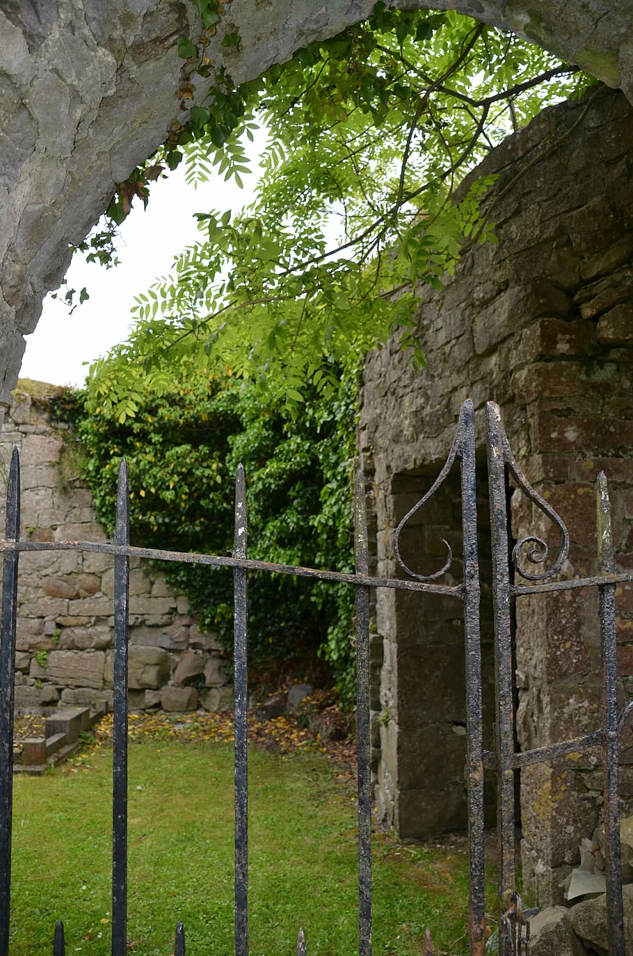 ruin, old, leave, decay, building, architecture, lapsed, plant HD wallpaper